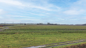 Photo 2- click for photo gallery